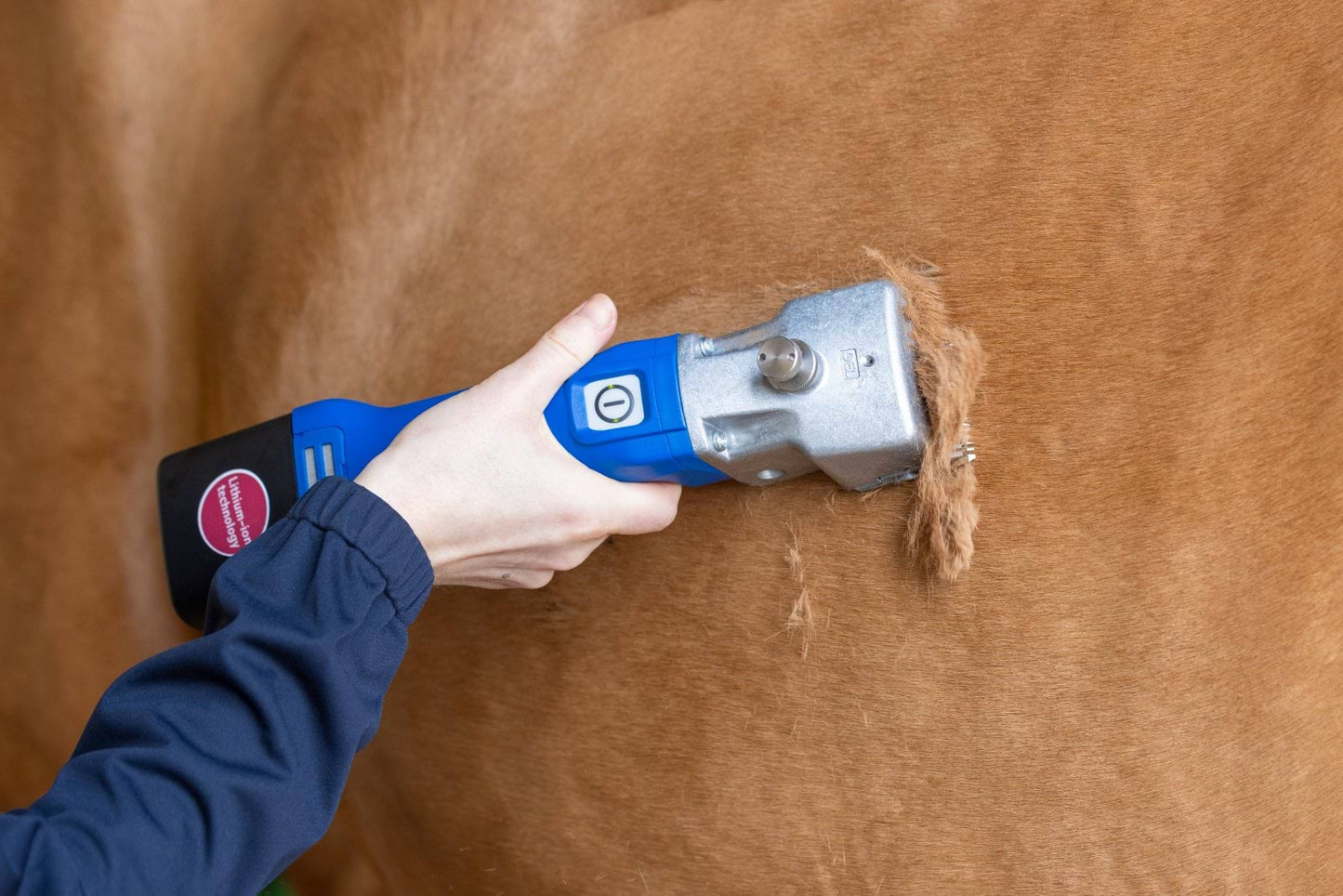 Aesculap maszynka do strzyżenia koni i bydła Econom CL, 1 akumulator, niebieski