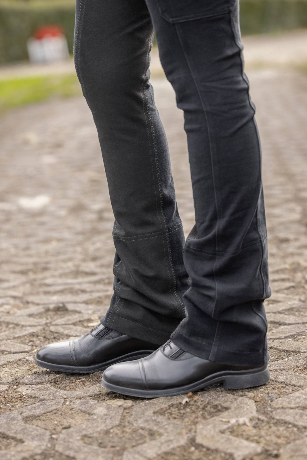 Covalliero bryczesy BasicPlus Jodphur, damskie, czarny