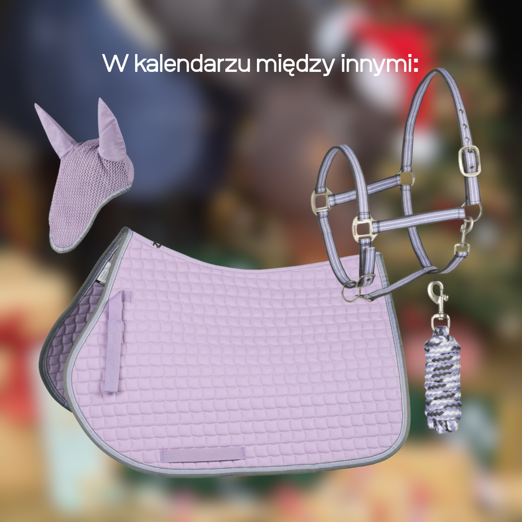 Kalendarz adwentowy Standard, 12 okienek - edycja limitowana 48h