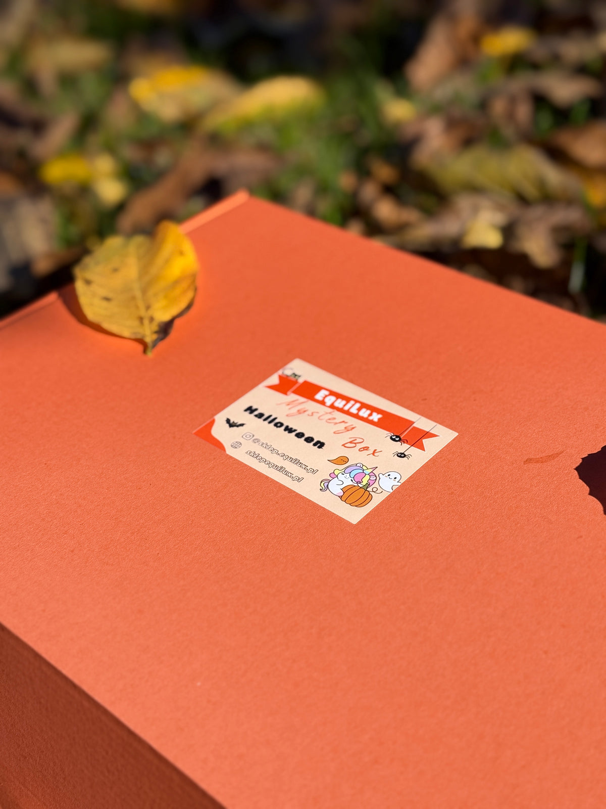 Mystery Box „Halloween” - edycja limitowana 24h
