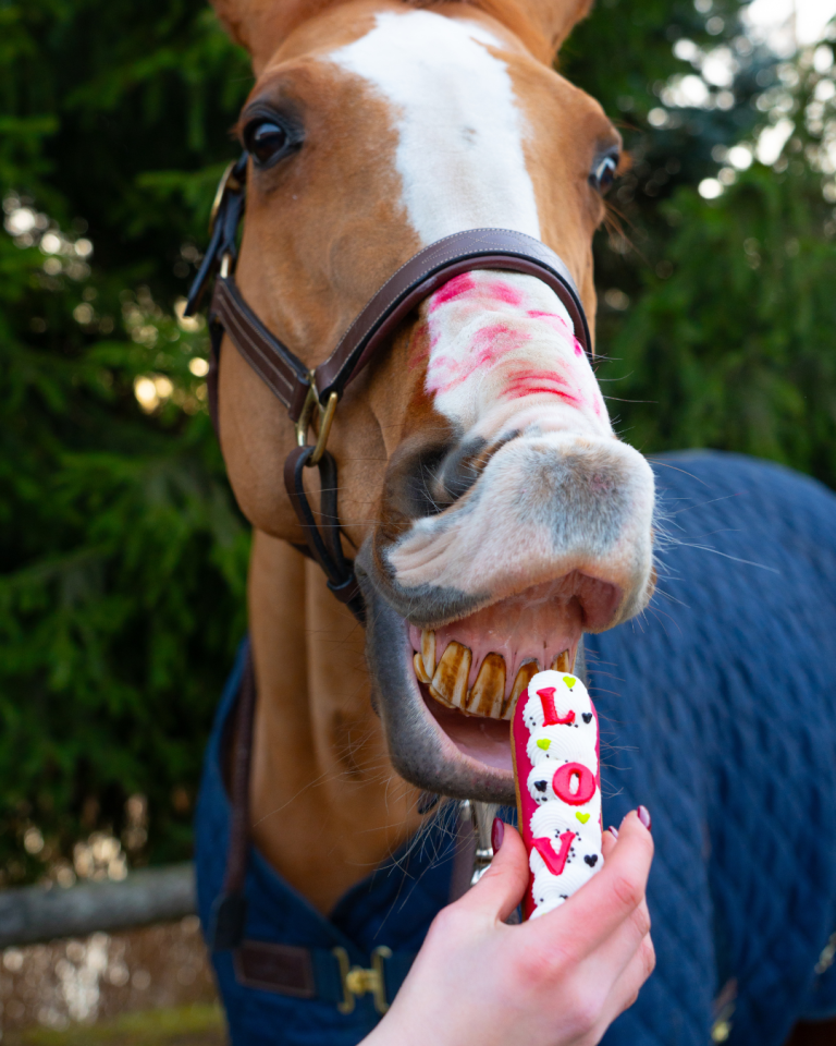 Candy Horse ekler z lukrem "Walentynki 2026" 24h