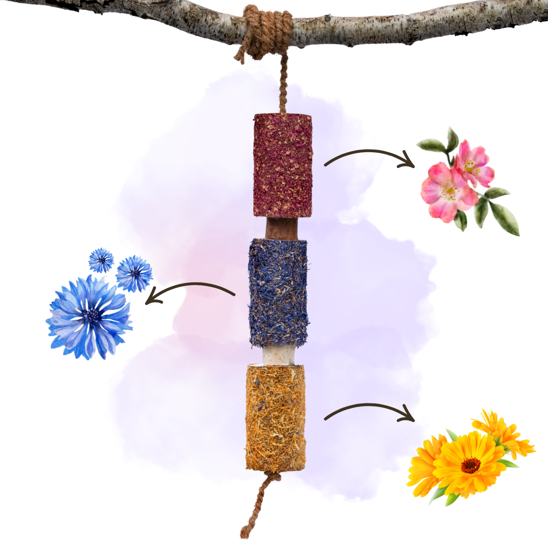 Candy Horse gryzak „radość” 24h