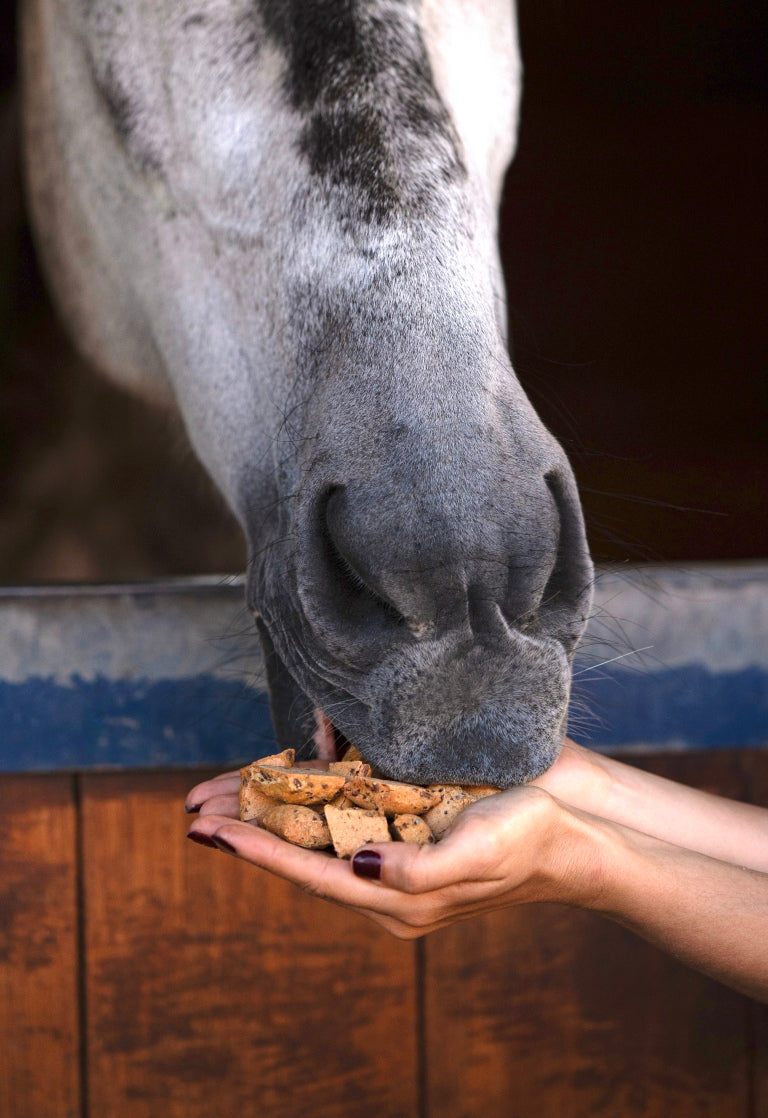 Candy Horse ciastka dla koni "kopytka" - truskawka, papaja 1,2l 24h
