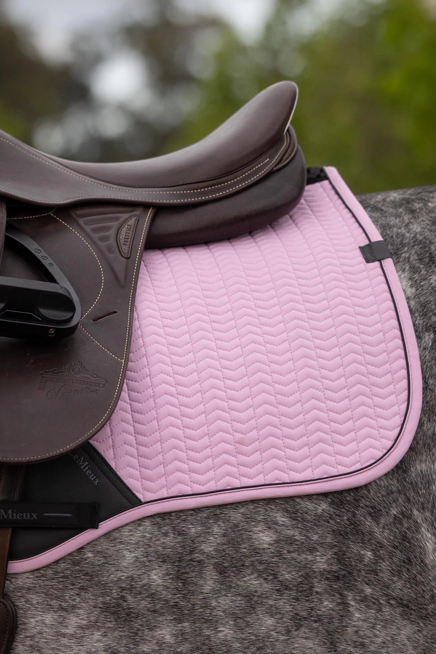 LeMieux czaprak Essence Eurojump CC, Fondant 24h