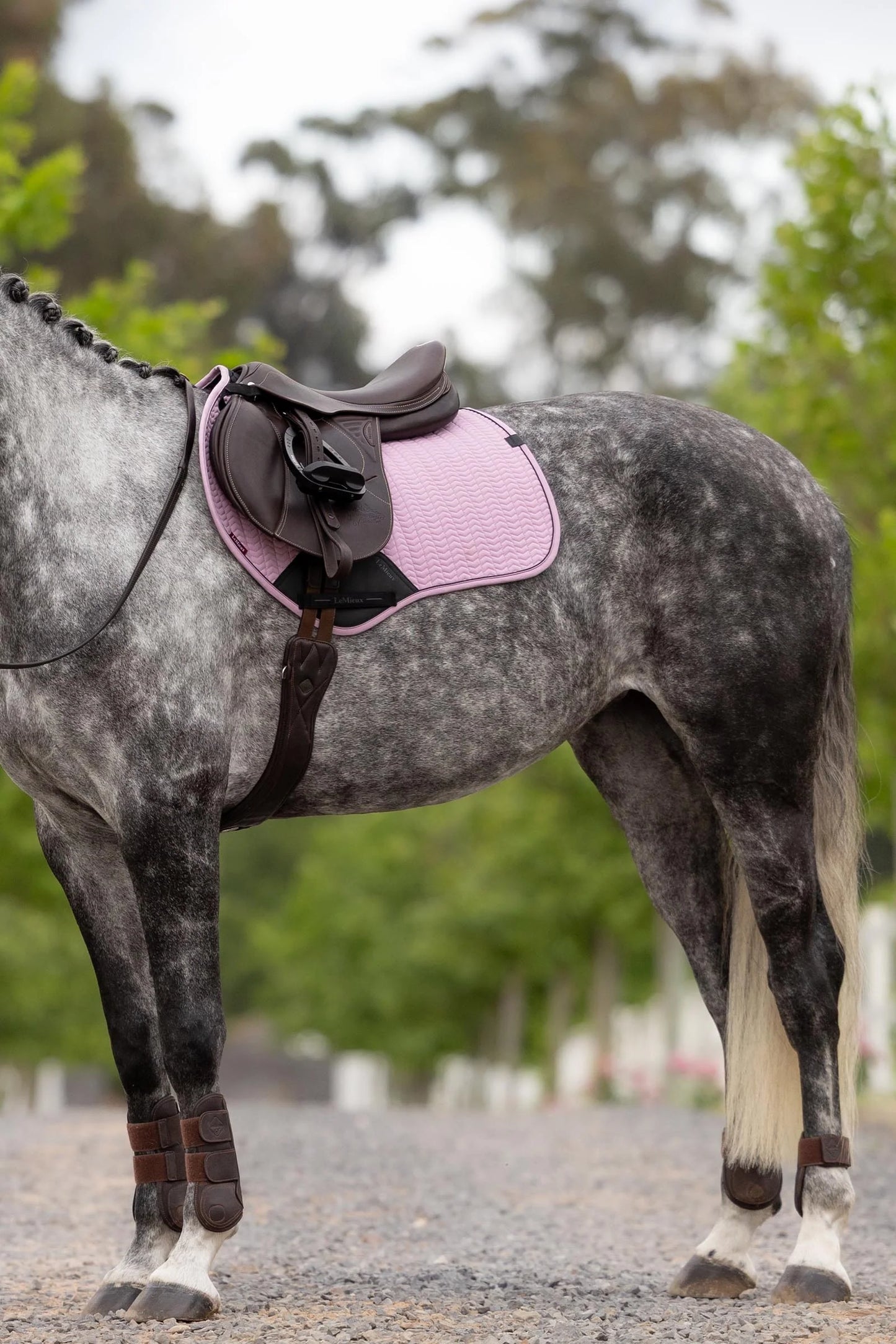 LeMieux czaprak Essence Eurojump CC, Fondant 24h