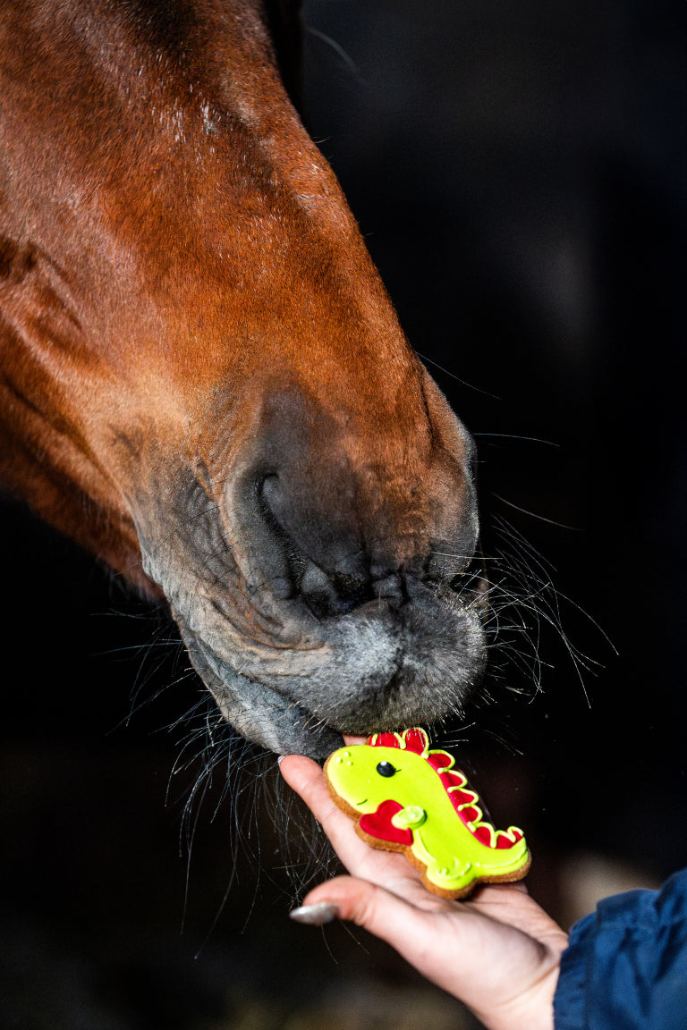 Candy Horse ciasteczko "Walentynki 2026", dinozaur 24h