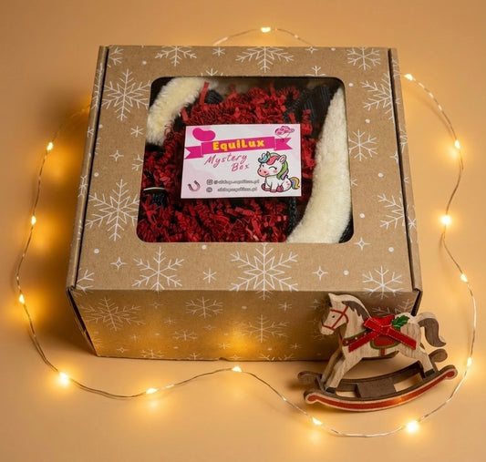 Mystery Box „EquiLux - limitowana edycja świąteczna 🎅 24h
