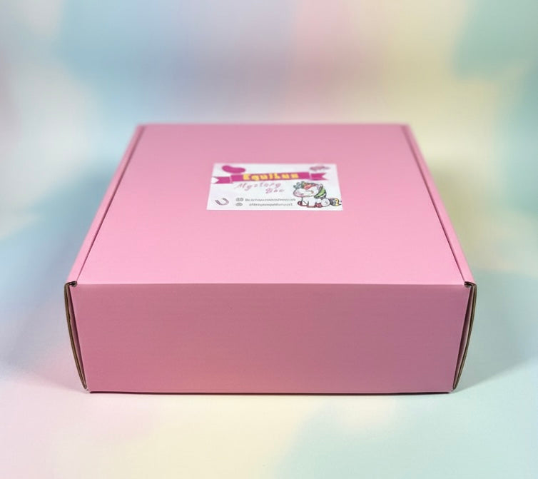 Mystery Box „EquiLux” Standard 24h