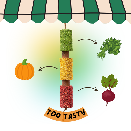 Candy Horse gryzak Foodie „Too Tasty” 24h