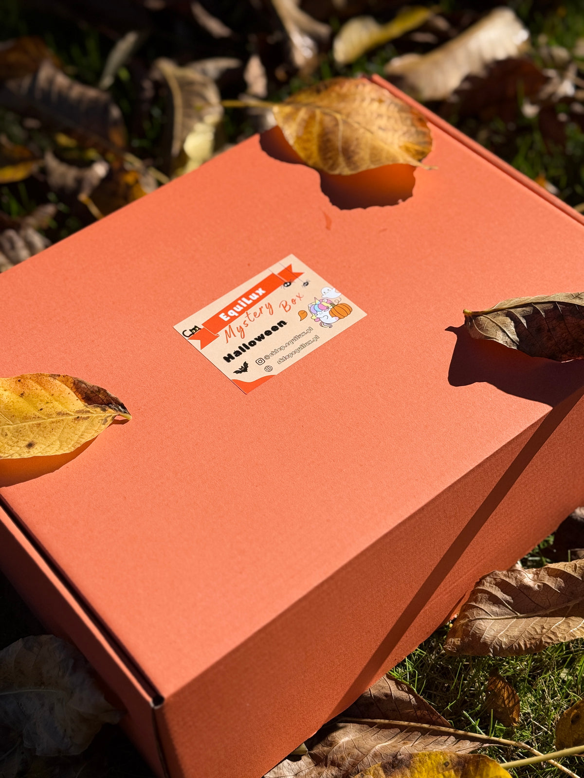 Mini Mystery Box „HALLOWEEN” 🎃
