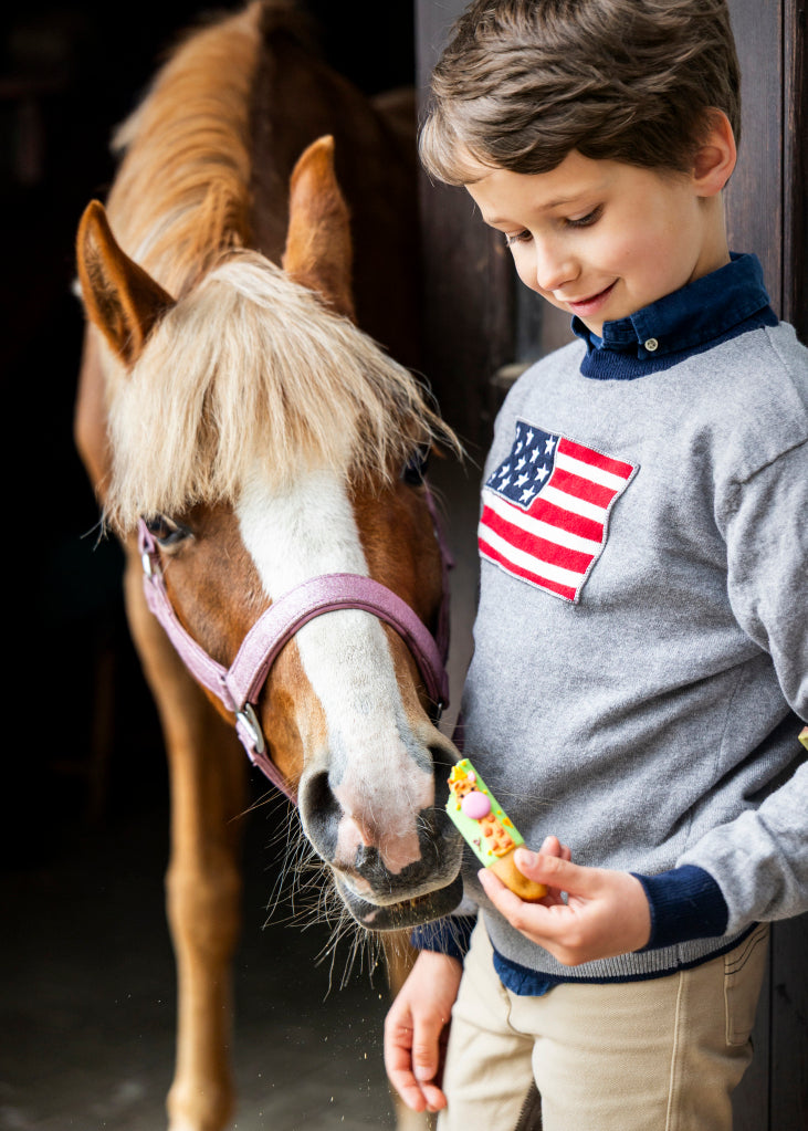 Candy Horse paluchy z lukrem "Stable Party" 24h