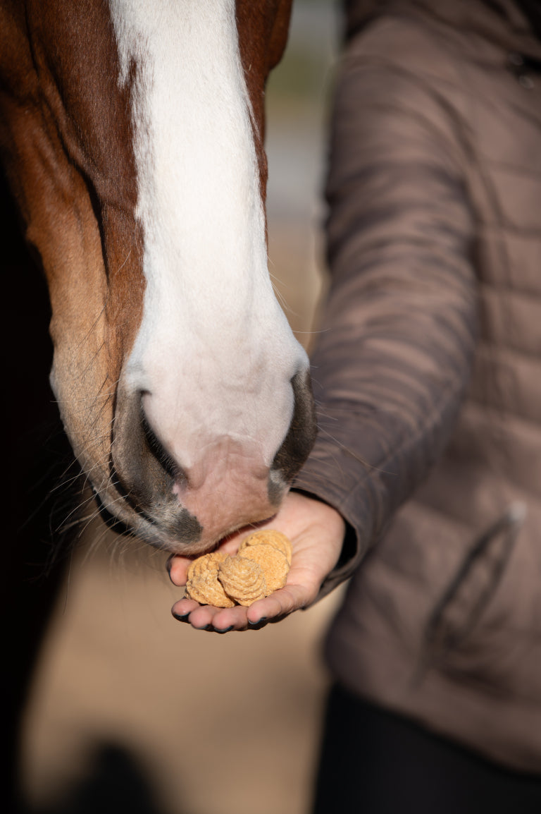 Candy Horse ciastka dla koni "kokosanki" 400g 24h