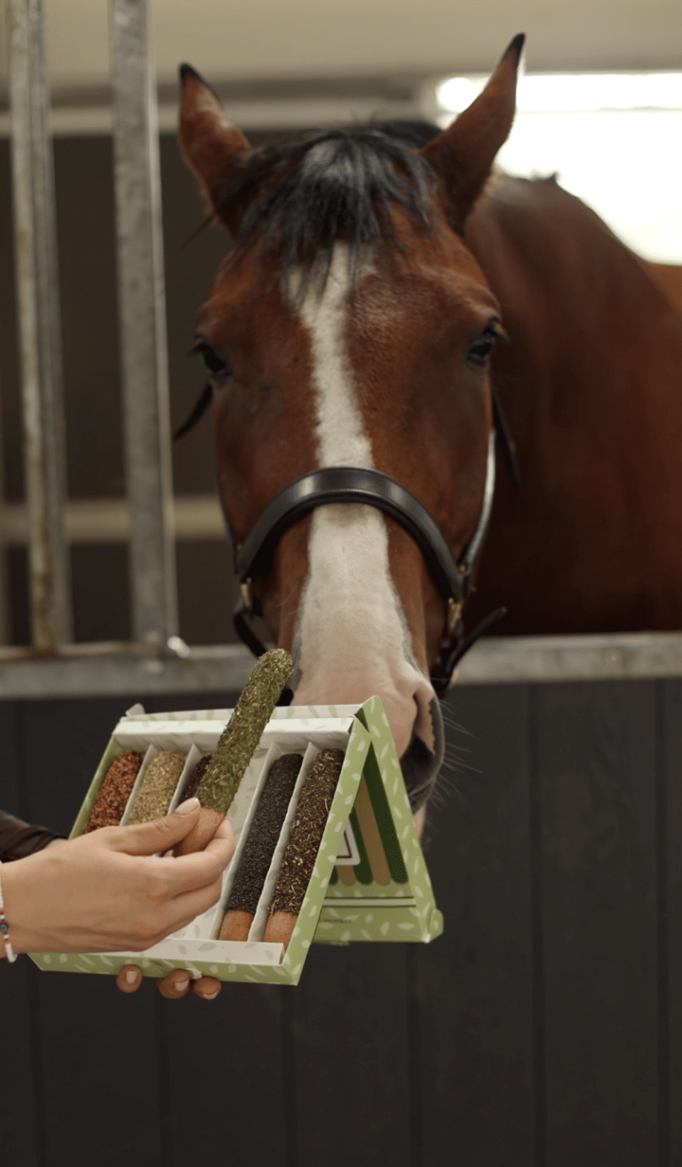 Candy Horse ciastka dla koni "paluchy" z ziołami 24h