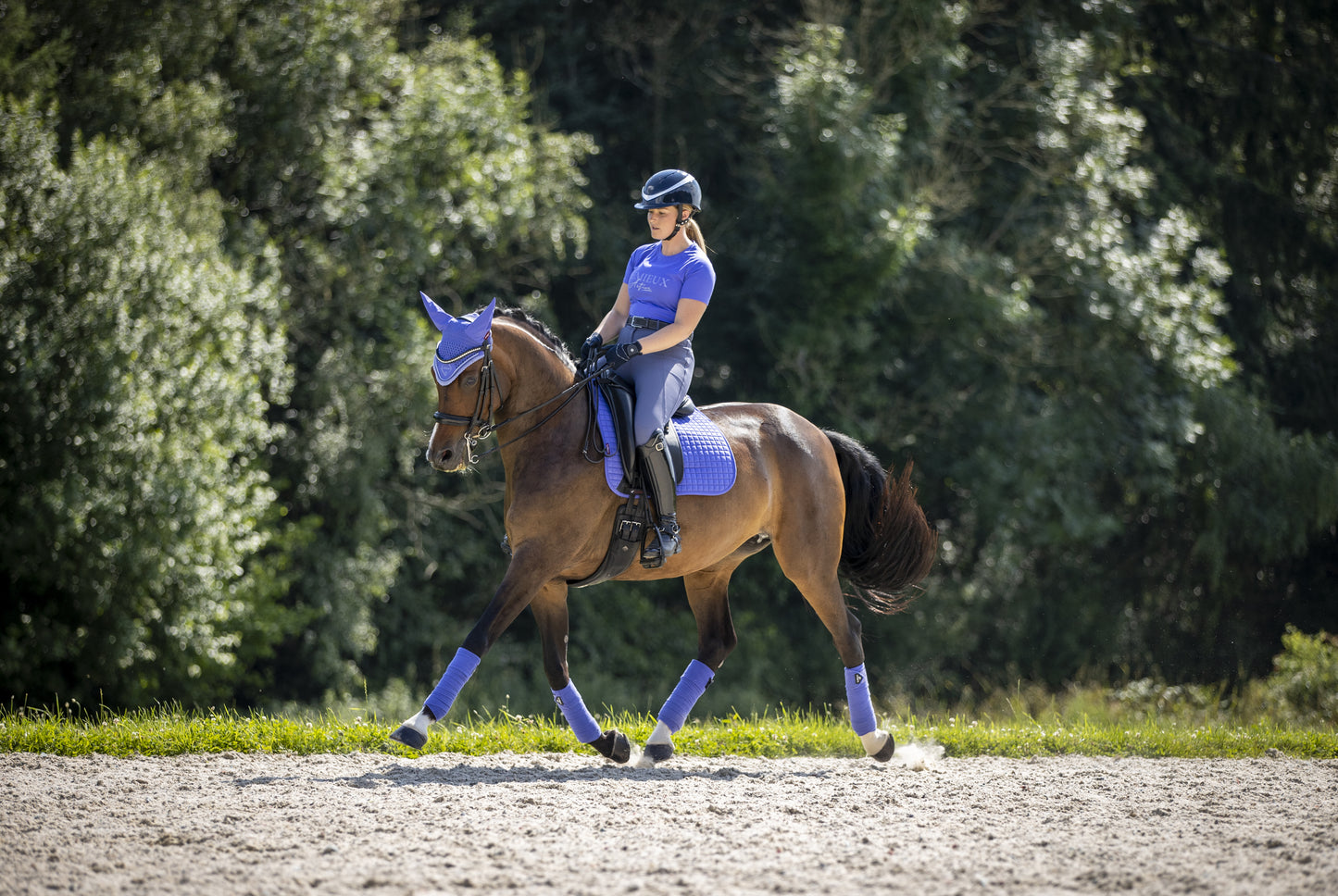 LeMieux czaprak Suede DR, Bluebell 24h
