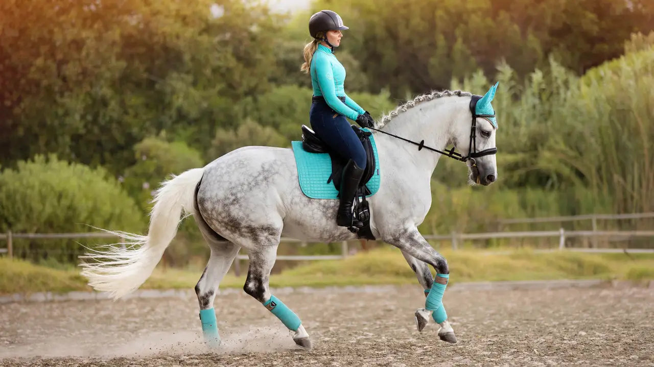 LeMieux czaprak Suede DR, Azure 24h