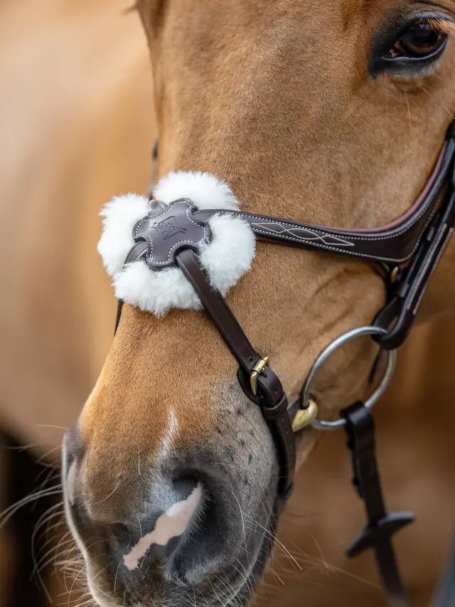 LeMieux ogłowie meksykańskie "Kudos Grackle", Havana