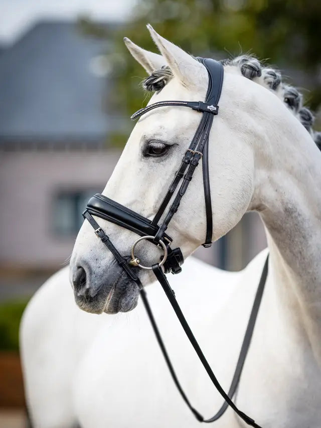LeMieux ogłowie "Kudos Dressage", czarne