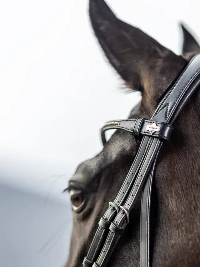 LeMieux ogłowie "Kudos Dressage", czarne