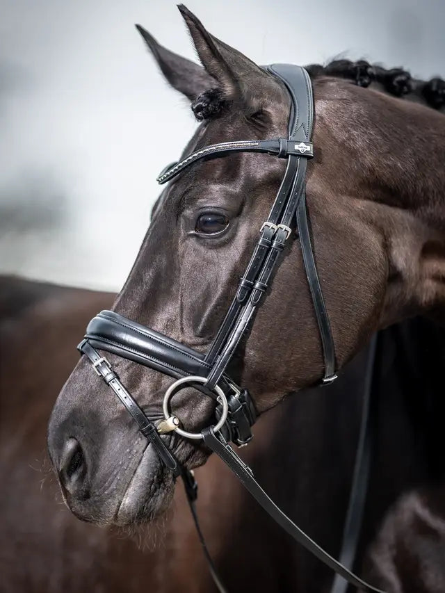 LeMieux ogłowie "Kudos Dressage", czarne