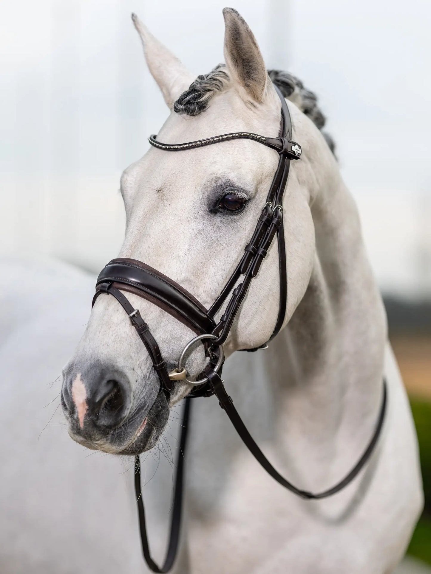LeMieux ogłowie "Kudos Dressage", brązowe