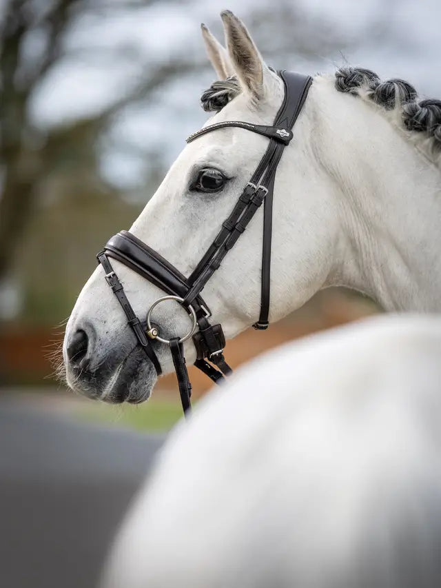 LeMieux ogłowie "Kudos Dressage", brązowe