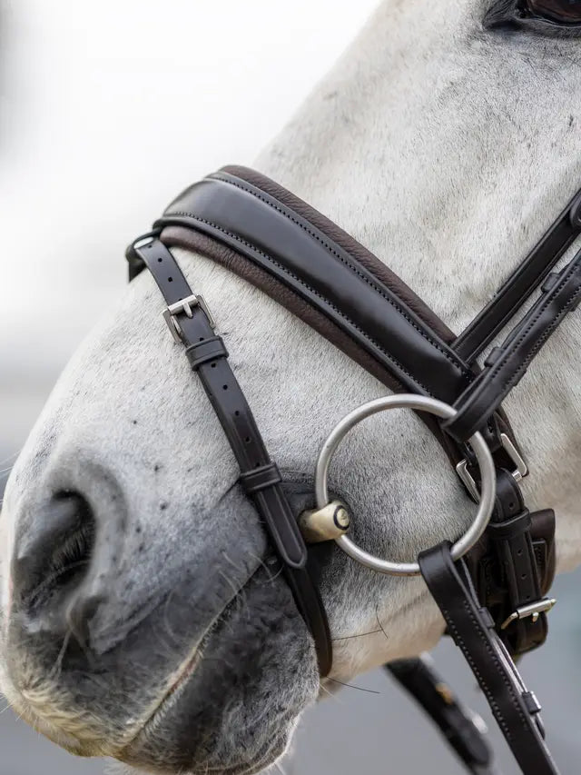 LeMieux ogłowie "Kudos Dressage", brązowe