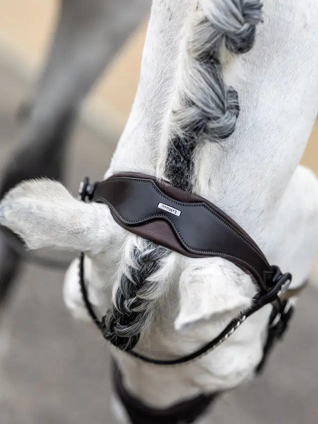 LeMieux ogłowie "Kudos Dressage", brązowe