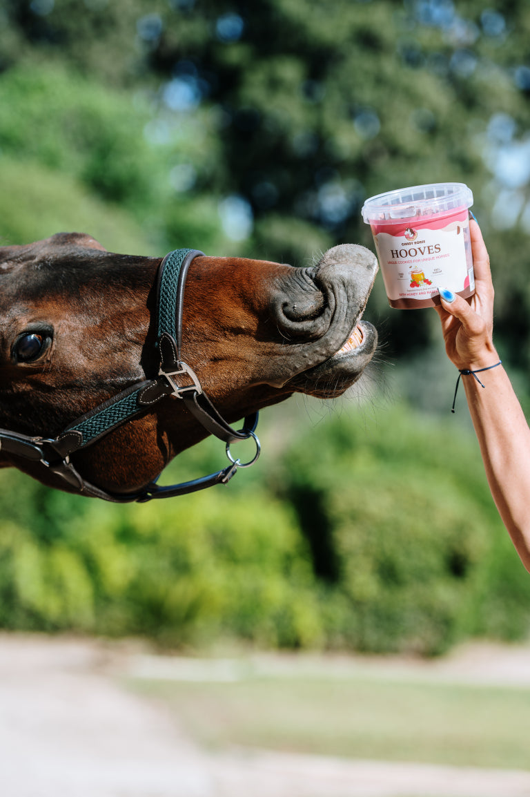 Candy Horse ciastka dla koni "kopytka" - miód, malina 1,2l 24h