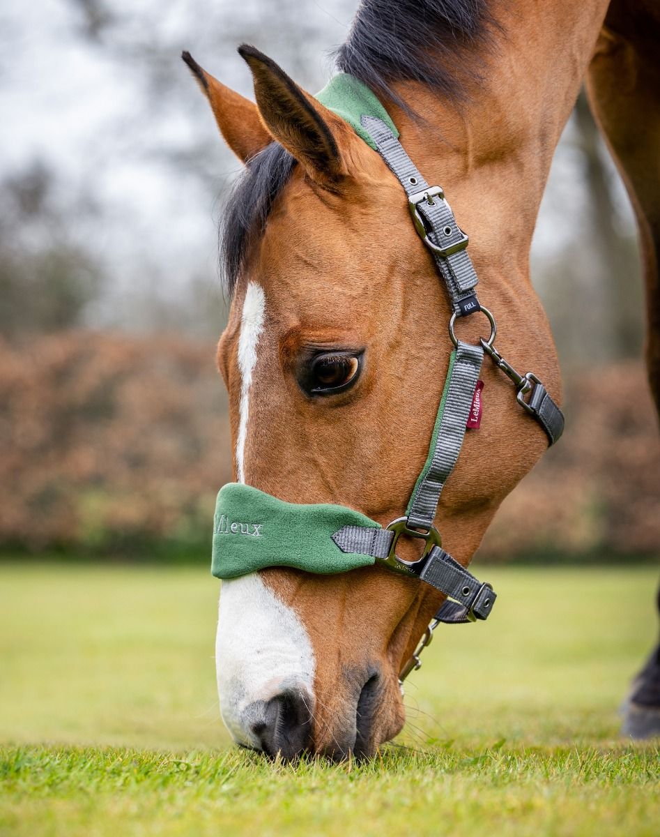 LeMieux kantar z uwiązem Vogue, Hunter Green 24h