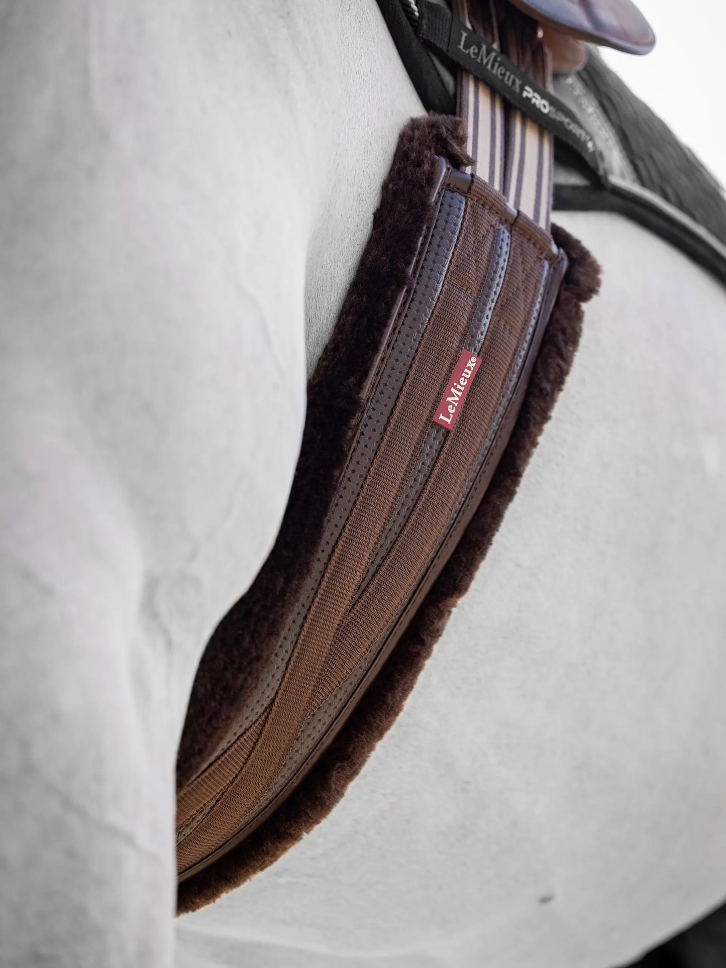LeMieux popręg Fleece Lined Anatomic, brązowy