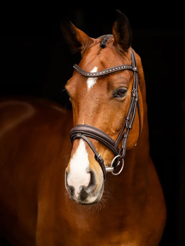 LeMieux ogłowie "Arika Dressage", brązowe