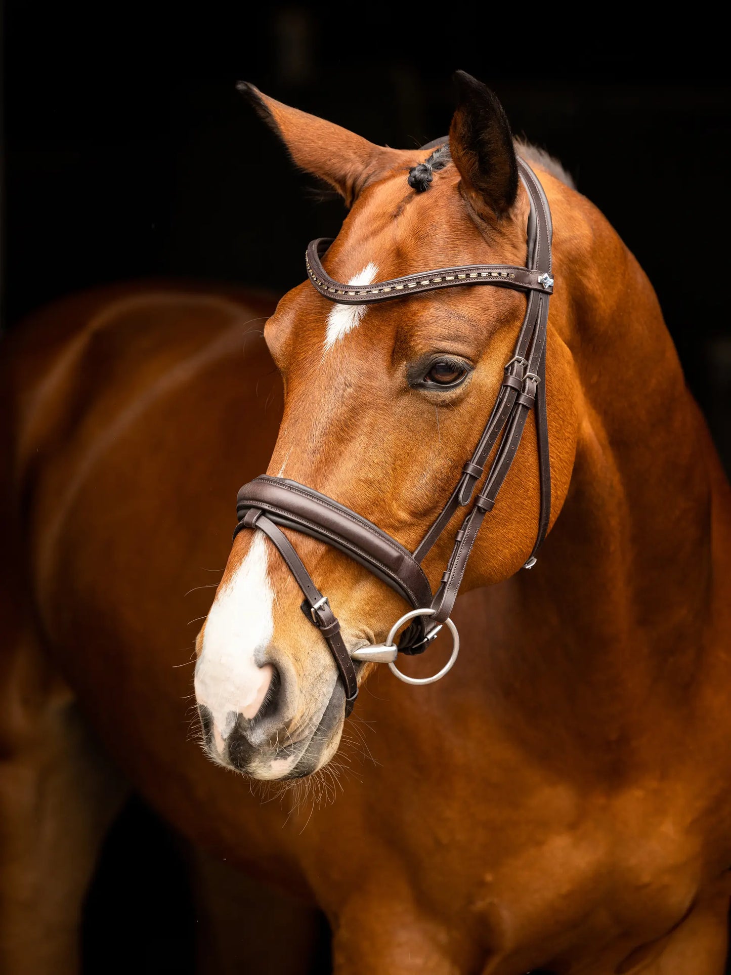 LeMieux ogłowie "Arika Dressage", brązowe