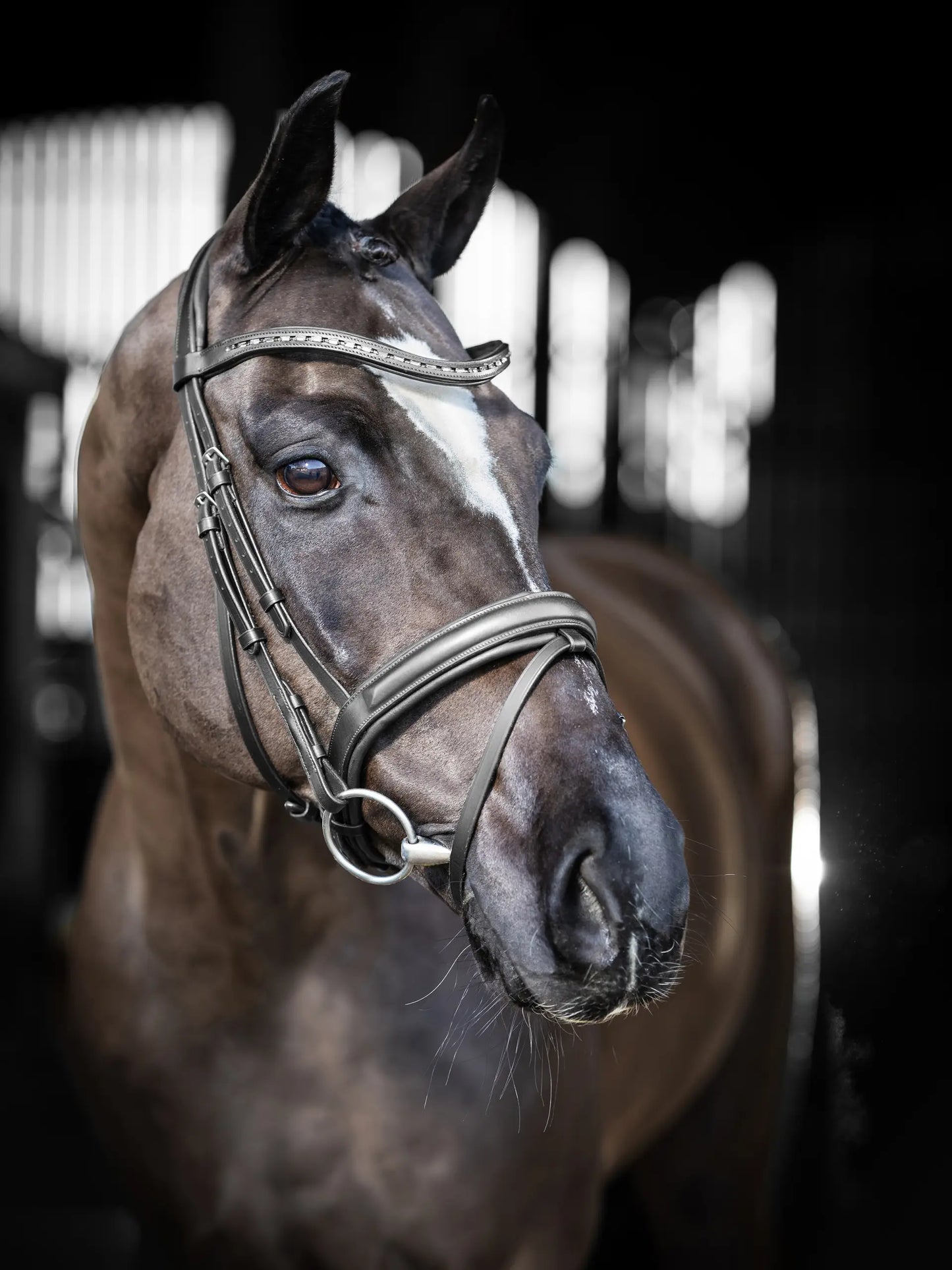 LeMieux ogłowie "Arika Dressage", czarne