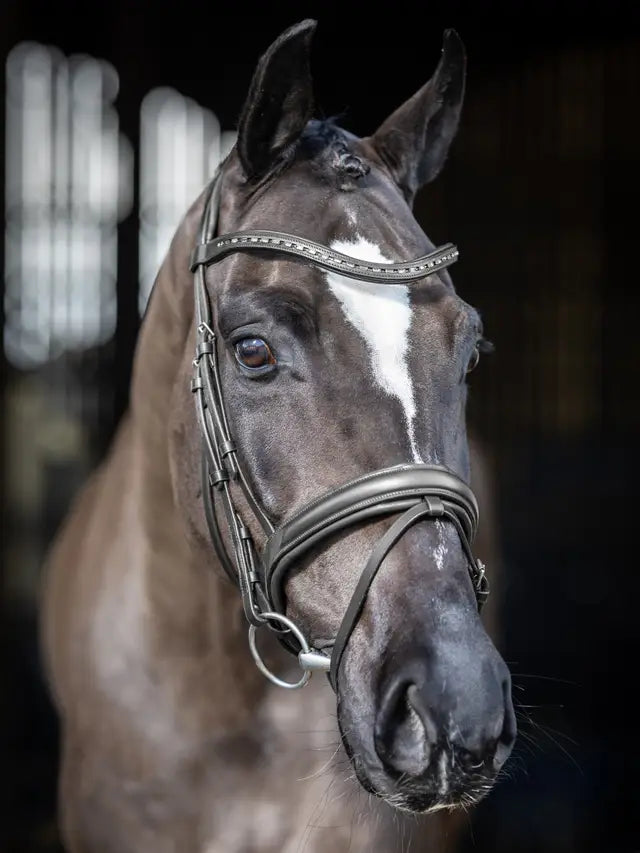 LeMieux ogłowie "Arika Dressage", czarne