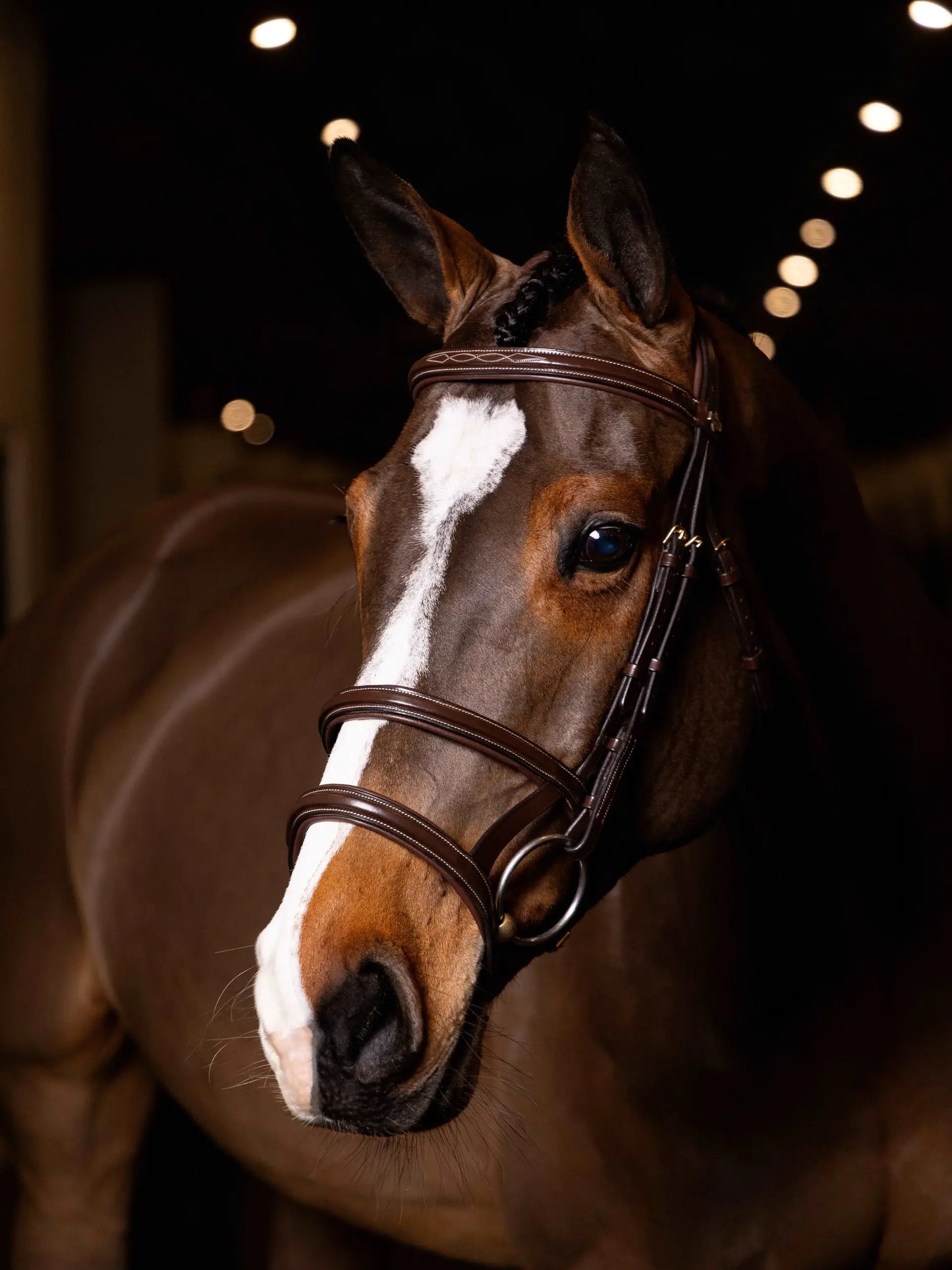 LeMieux ogłowie z podwójnym nachrapnikiem "Kudos Double", Havana