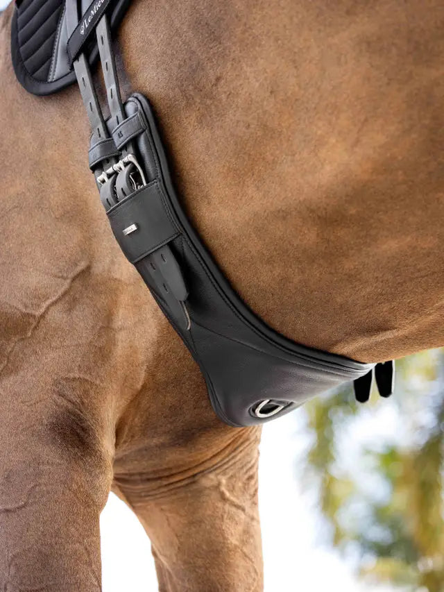 LeMieux krótki popręg Arika Contoured Dressage, czarny