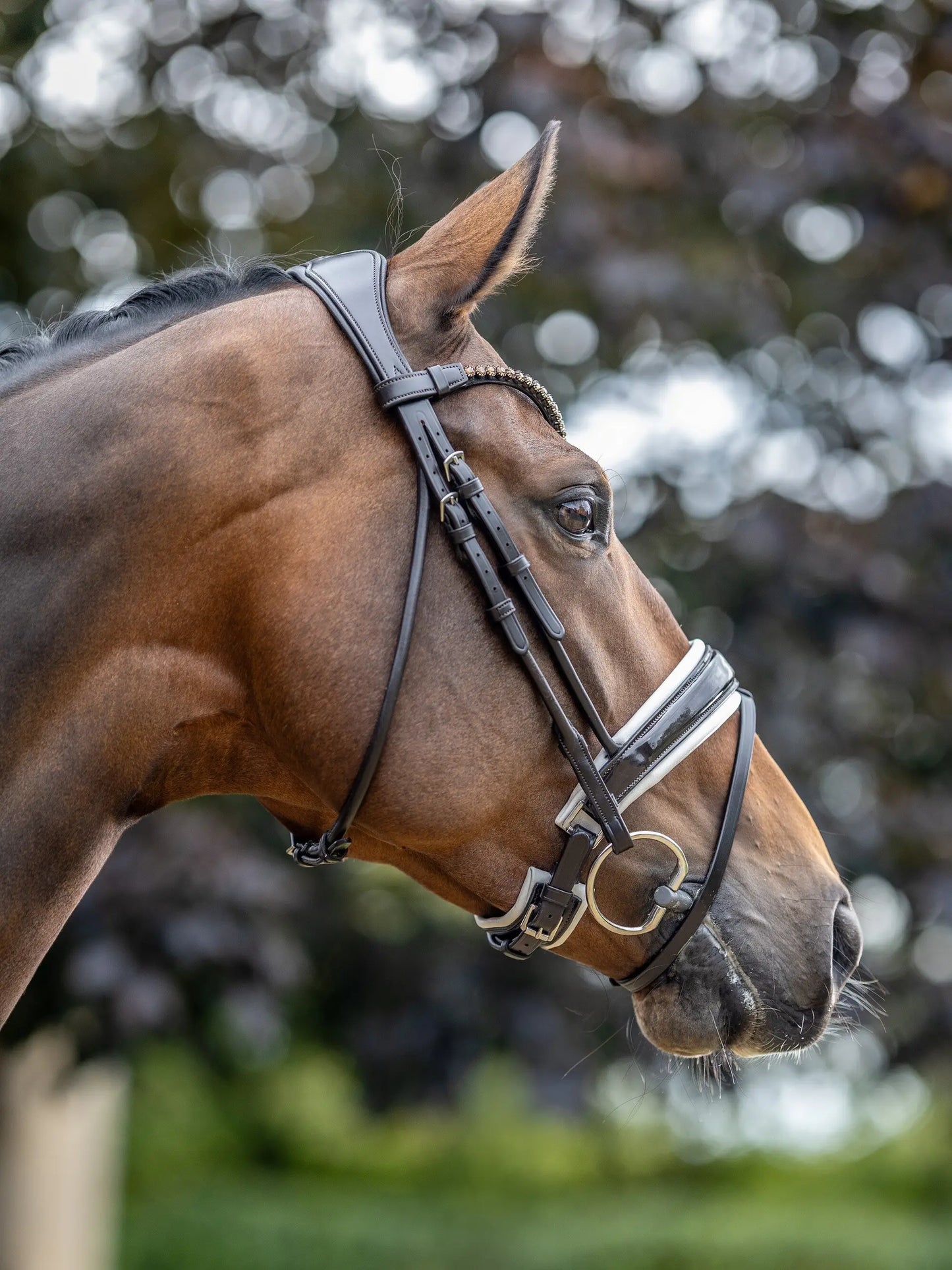LeMieux ogłowie "Kudos Patent Rolled", brązowy/biały