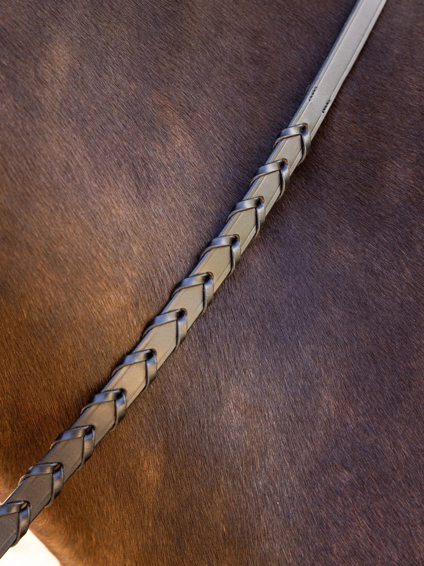 LeMieux plecione wodze skórzane "Laced"