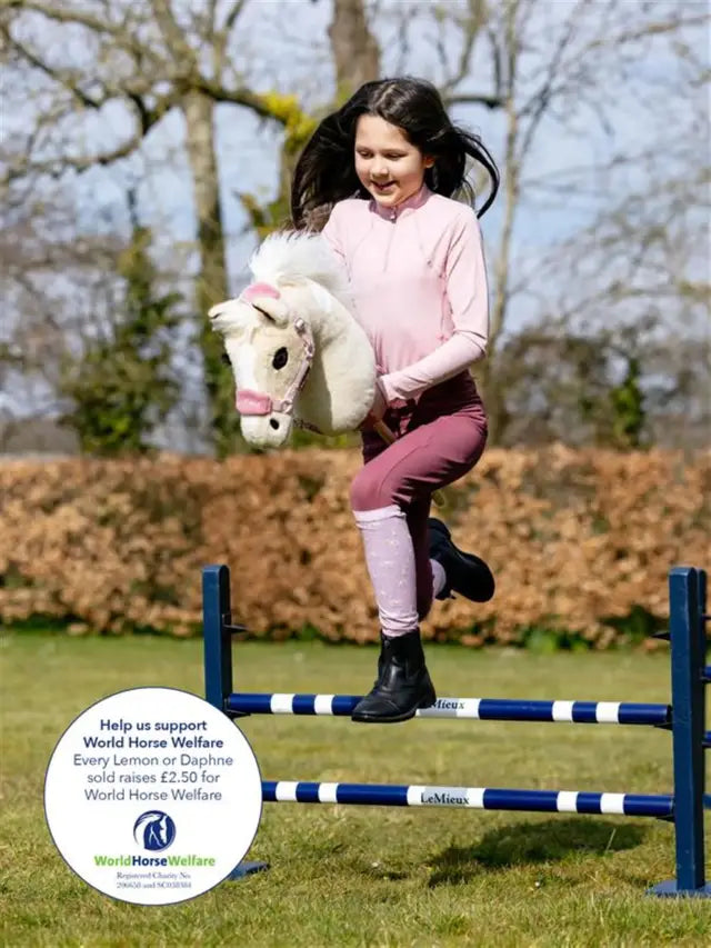 LeMieux hobby horse, Lemon 24h