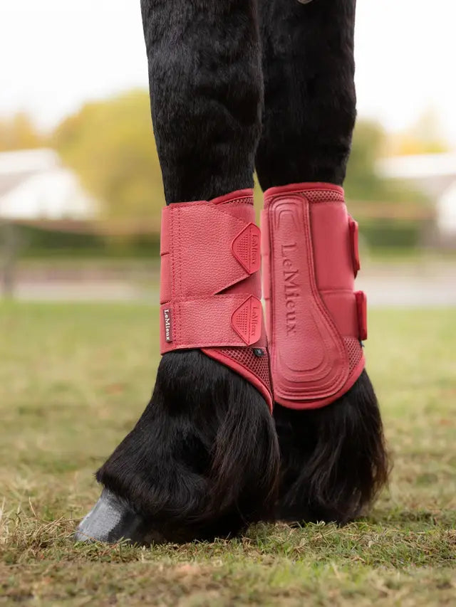 LeMieux ochraniacze Arika Mesh, Cranberry 24h