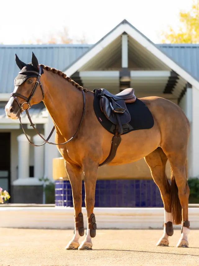 LeMieux czaprak Essence Eurojump, Black 24h