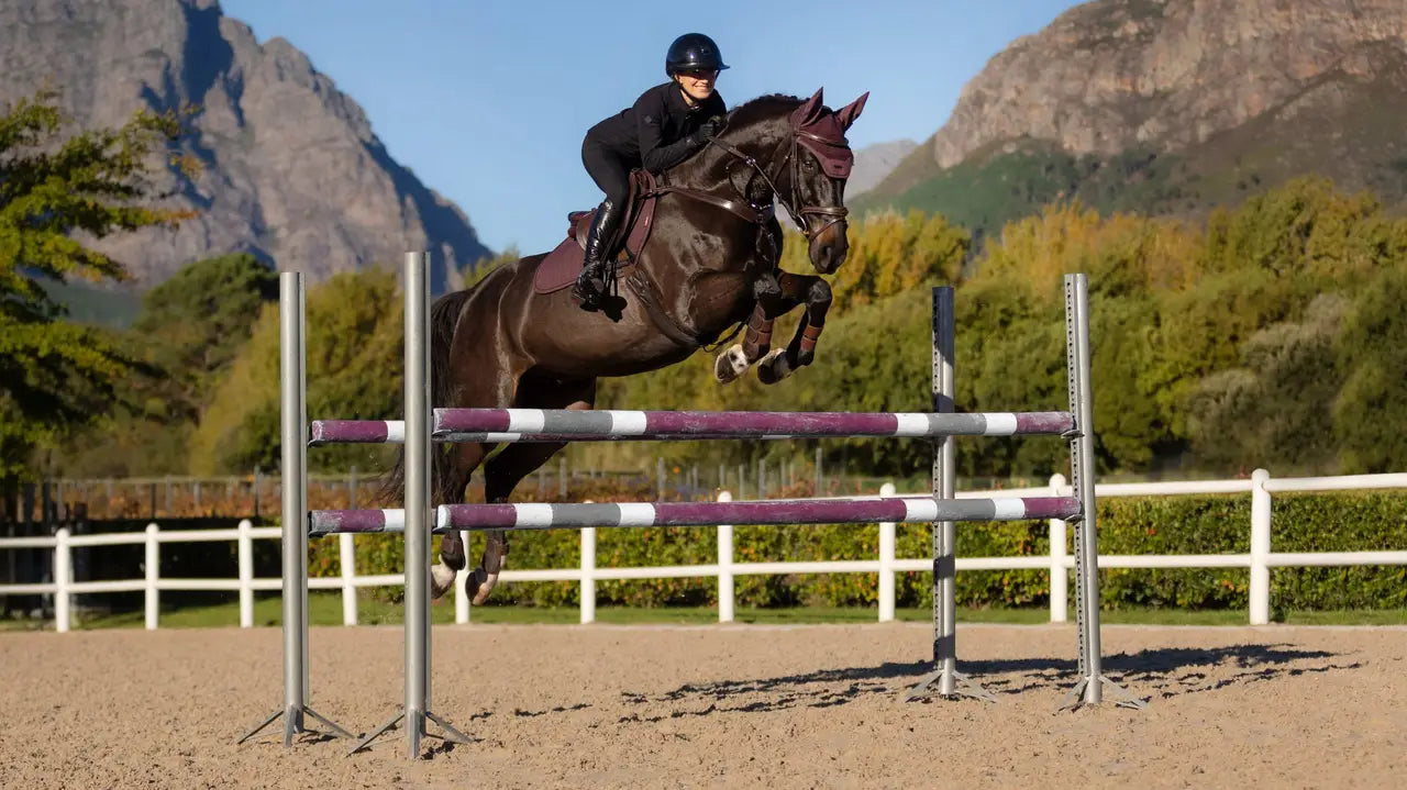 LeMieux czaprak Essence Eurojump, Damson 24h