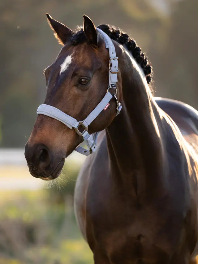 LeMieux kantar dla konia Essence, Powder Blue 24h