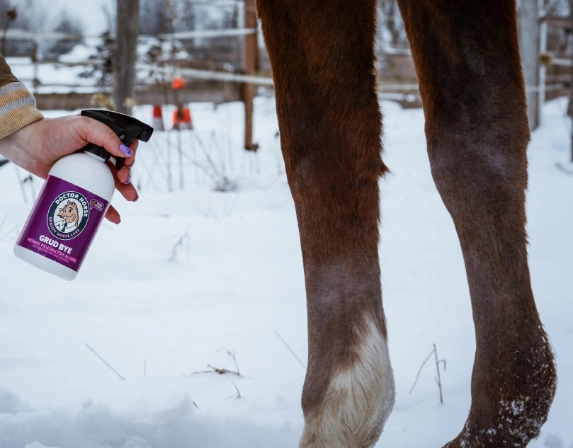 Doctor Horse "GrudBye" spray pielęgnacyjny na grudę 500ml 24h
