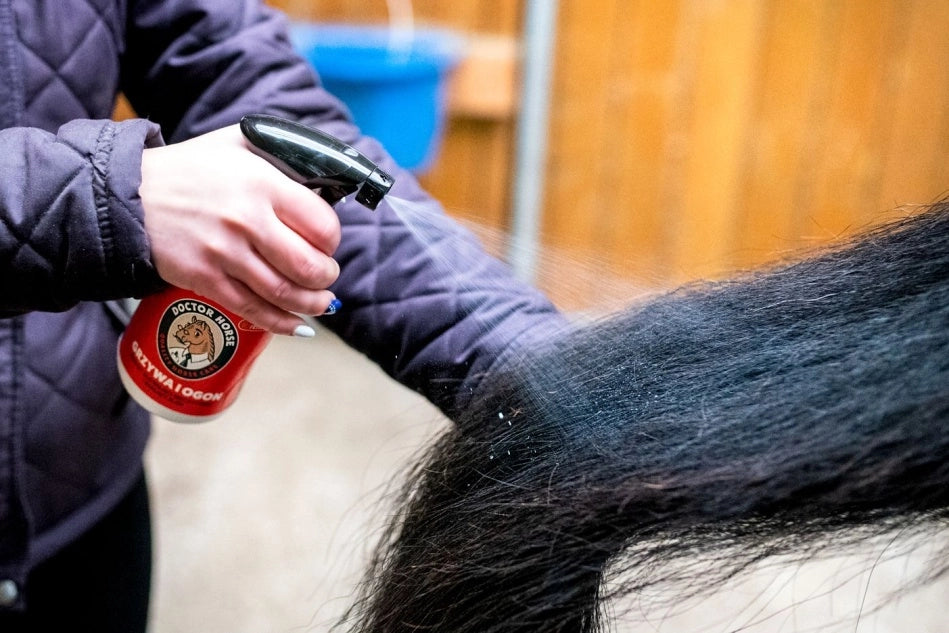 Doctor Horse "Grzywa i Ogon" odżywka ułatwiająca rozczesywanie i nadająca blask 500ml 24h