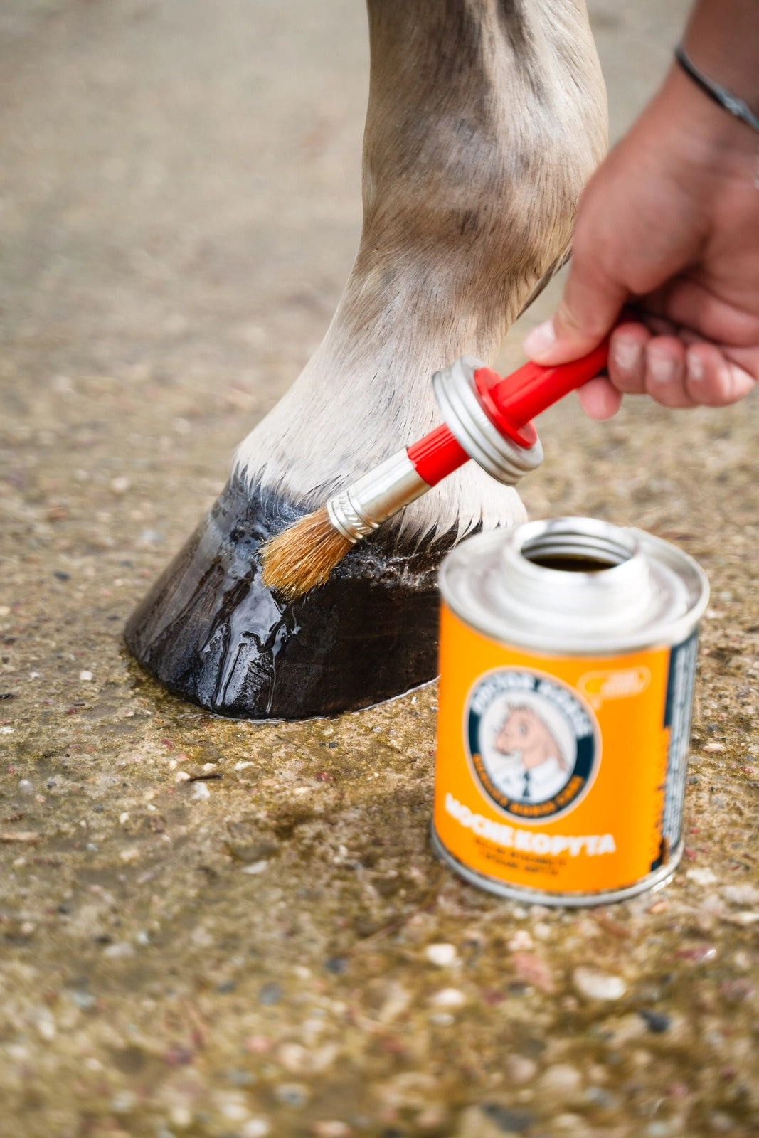 Doctor Horse "Mocne Kopyta" wegański olej do kopyt w puszce 450ml 24h