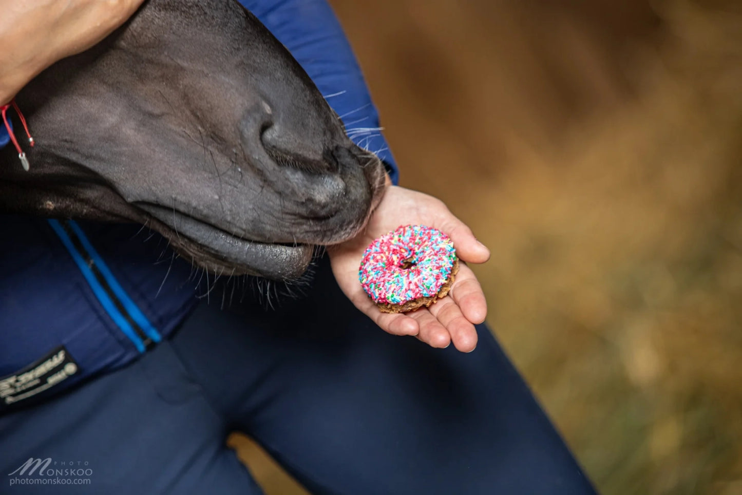 Doctor Horse pączuś z lukrem 24h